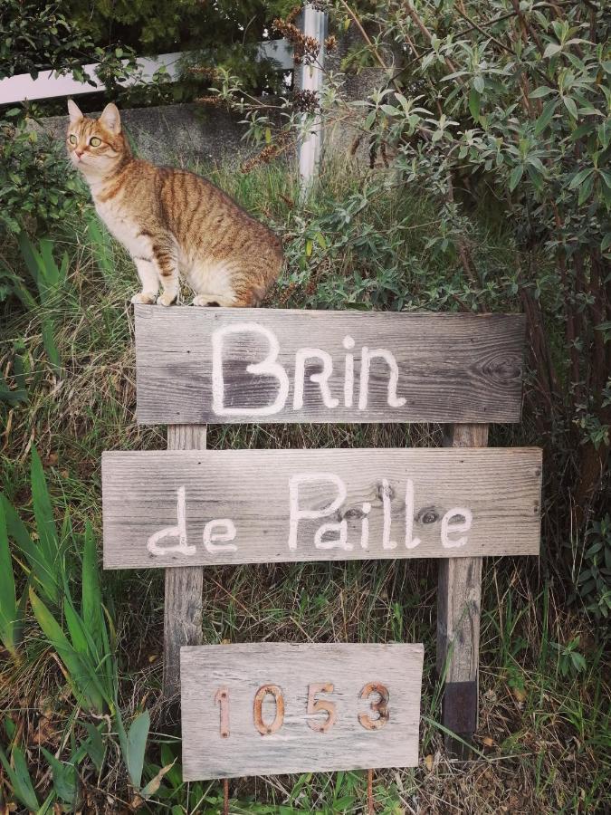 Brindepaille Bed & Breakfast Vallon-Pont-d'Arc Ngoại thất bức ảnh